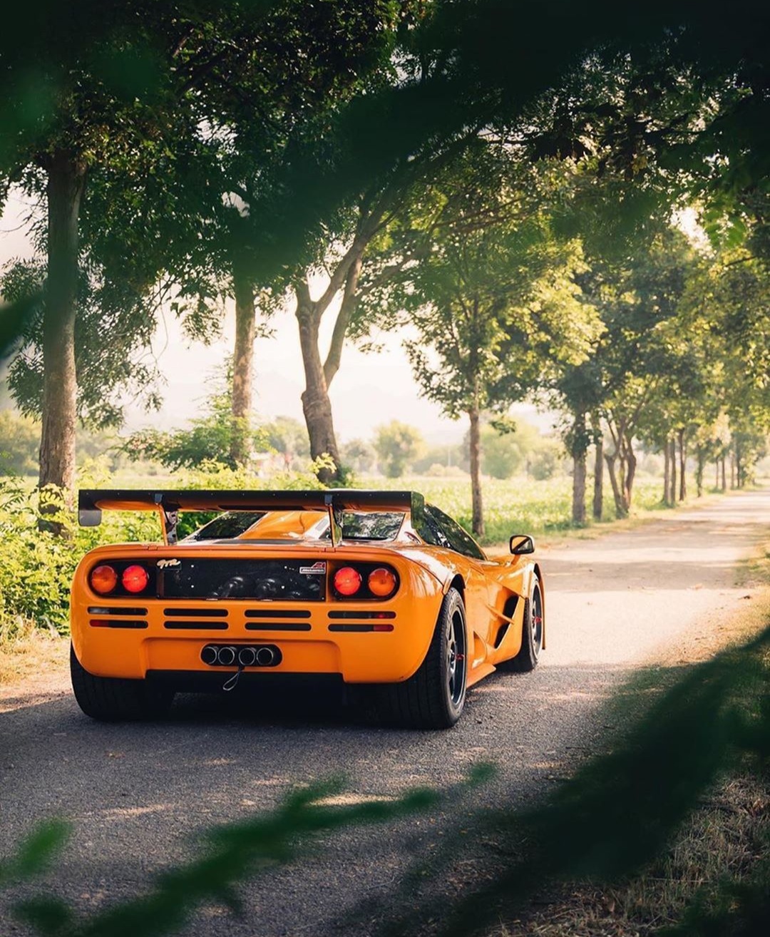 McLaren F1 GTR 🚀 : carporn